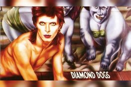 Diamonds Dogs - Eerbetoon aan David Bowie