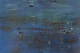 Morfogenese expositie van Vicky Schot en Bert Poot in De Boterhal