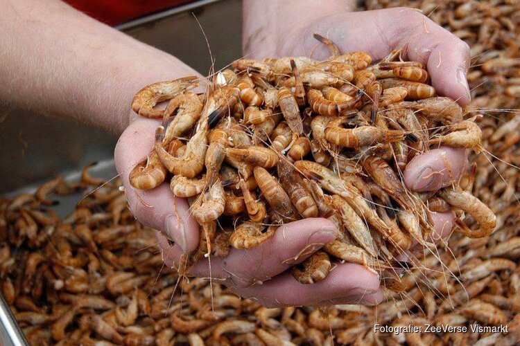 Gerecht van ZeeVerse Vismarkt: Viscurry met peultjes