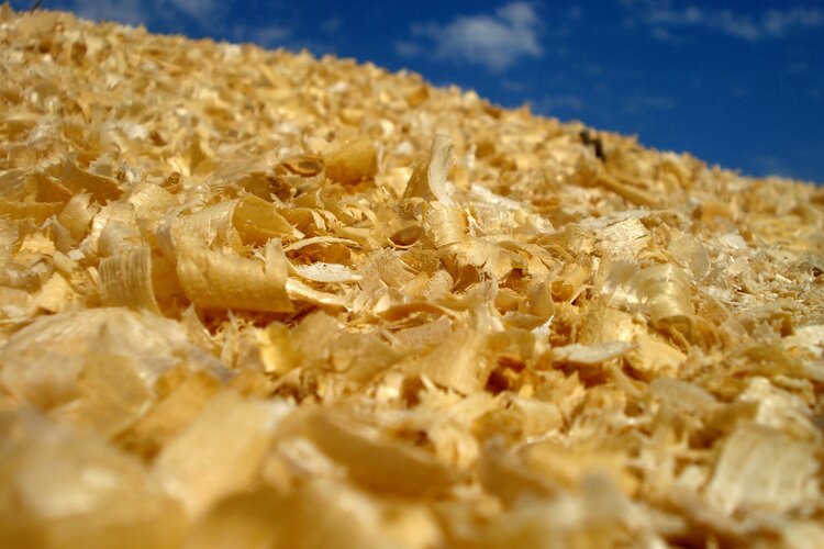 Wat is de perfect veilige bodem voor jou en je dieren?