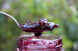 Snoep verstandig, eet een appel!?