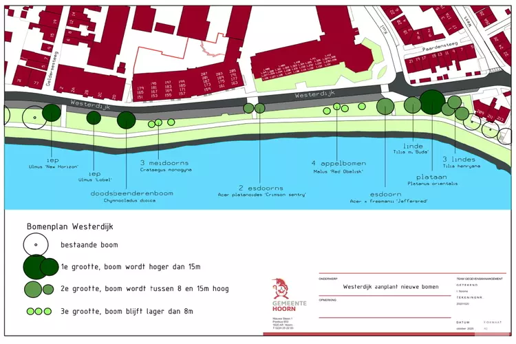 Start voorbereiding voor planten 18 nieuwe bomen langs Westerdijk