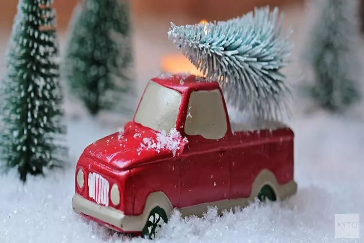 Dit jaar geen traditionele kerstbomeninzameling