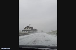 Winterse zondag in beeld