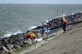 Grote zoekactie op IJsselmeer na omslaan boot