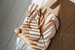 De lente is begonnen!