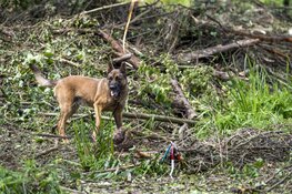 Ook vandaag weer zoektocht naar Sumanta Bansi