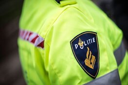 Vluchtende verdachte springt uit angst voor politiehond politieauto in