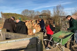 Helpende handen gezocht!