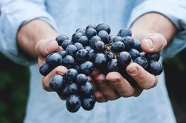 Dankbaar voor zoveel zegen