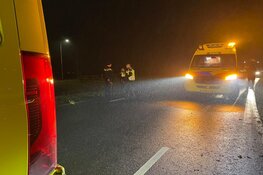 Auto eindigt tegen boom in Zwaag