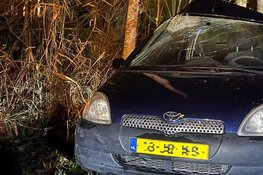 Auto eindigt tegen boom in Zwaag