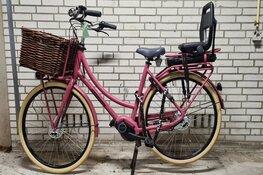 Fietsendief gesnapt bij station Kersenboogerd