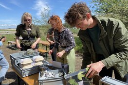 Studenten Clusius College creëren kruidentuin bij Fort K&#39;IJK