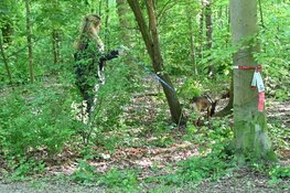 Politie zoekt opnieuw hele dag in De Hulk naar vermiste Sumanta Bansi
