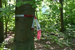 Politie zoekt opnieuw hele dag in De Hulk naar vermiste Sumanta Bansi