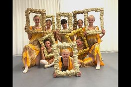 Voorstellingen De Hoornse Balletschool