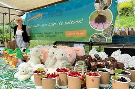 MAKS’ Biomarkt iedere laatste zondag van de maand (maart t/m november)