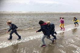 Westfries Museum lanceert 'MuseumJeugdUniversiteit' en 'Museum in de Klas-project'