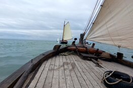 Zeilwedstrijden Bruine Vloot