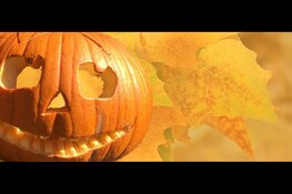 Pompoenpakket en Doe-middag Lachende Pompoenen