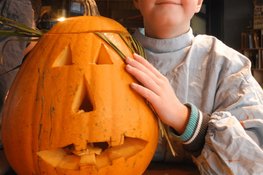 Pompoenpakket en Doe-middag Lachende Pompoenen