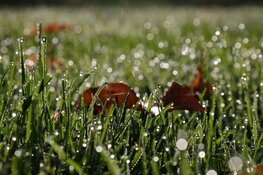 Week begint wisselvallig, overgang naar december stuk frisser met kans op nachtvorst