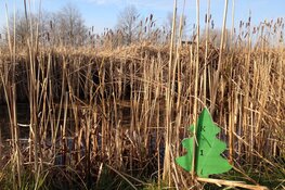 Speuren tussen dieren en natuur