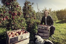 Red 10.000 kilo biologische appels