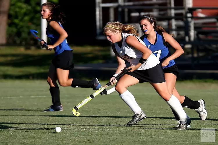 Gemeenteraad bespreekt ontwerpbestemmingsplan oude hockeyvelden Nieuwe Steen