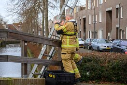 Kat vast onder brug gered door brandweer Hoorn
