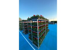 Vernieuwde plantenactie HV Blokker 2023