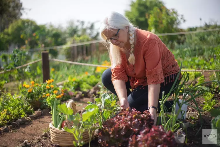De beste planten als je een kleine moestuin hebt