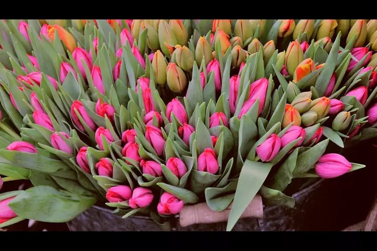 Grote voorjaarsmarkt 19 april