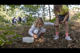 26 april t/m 7 mei Film en avontuur in de meivakantie