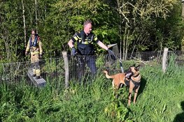 Aanhouding na grote zoekactie in Hoorn