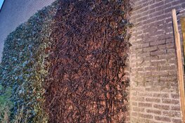 Meerdere brandstichtingen in Hoorn