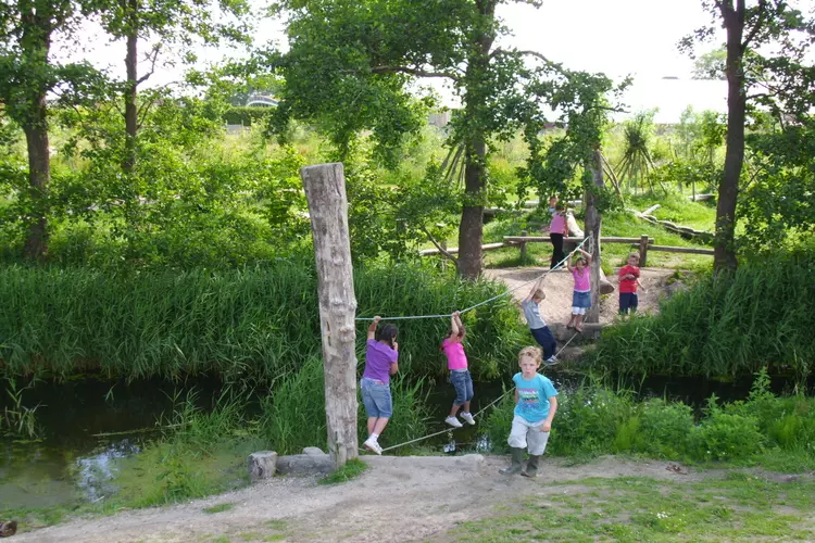 Speeltuin Survival
