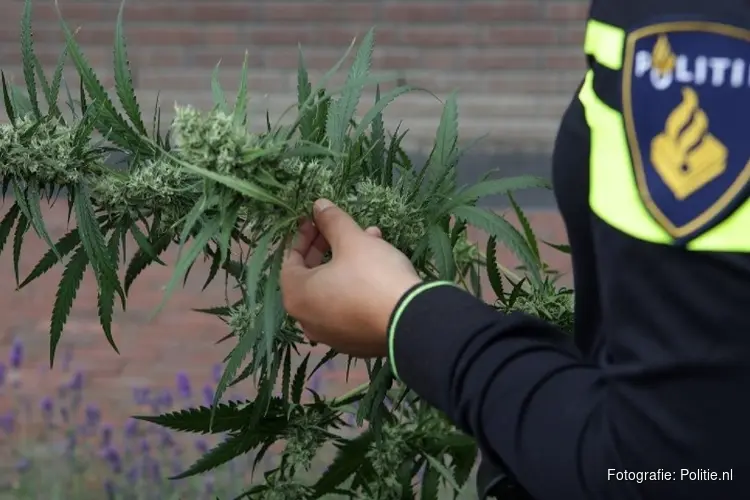 Burgemeester sluit drugswoning aan de Pergola