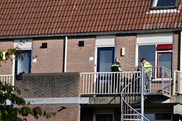 Katten in beslag genomen in Hoorn