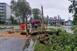 Storm in beeld: Poly zwaarste zomerstorm ooit gemeten