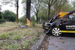 Auto tegen boom bij eenzijdig ongeval in Blokker