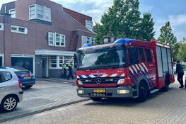 Coniferenhaag in brand in Hoorn