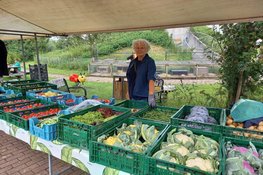EHBO zalf maken tijdens MAKS`s Biomarkt