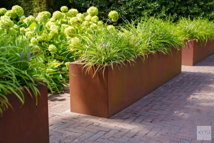 De voordelen van een plantenbak van cortenstaal voor je tuin