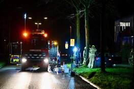 Auto tegen boom gereden in Hoorn