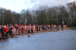 Bikkels wagen zich weer aan nieuwjaarsduik in Julianapark