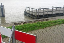 Hoog water zorgt voor "sinkholes"