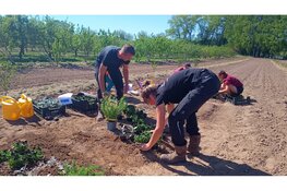 Studenten VONK Hoorn naar internationale hovenierswedstrijd