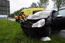 Aanrijding tussen twee auto's door "overstekende eenden"